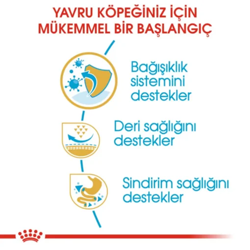 ROYAL CANİN DOG PUG PUPPY 1,5 KG*6